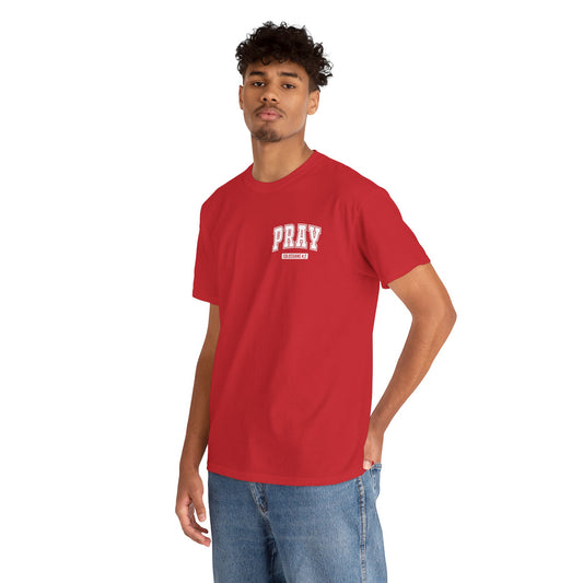 Pray Unisex Heavy Cotton Tee, Faith-Based Shirt, Casual Wear, Spiritual Gift, Affirmation Tee, Comfortable Everyday Outfit